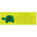 Turtle Panoramic Photo Hand Mirror (1.625" x 4.625")